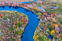 8368 Aerial Fall Color