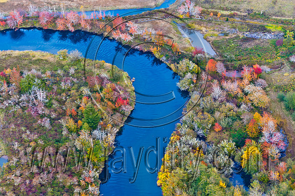 8368 Aerial Fall Color