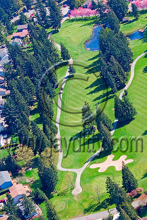 6355 Tapps Island 9th Hole