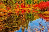 Pacific Northwest