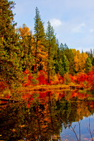 Fall Colors