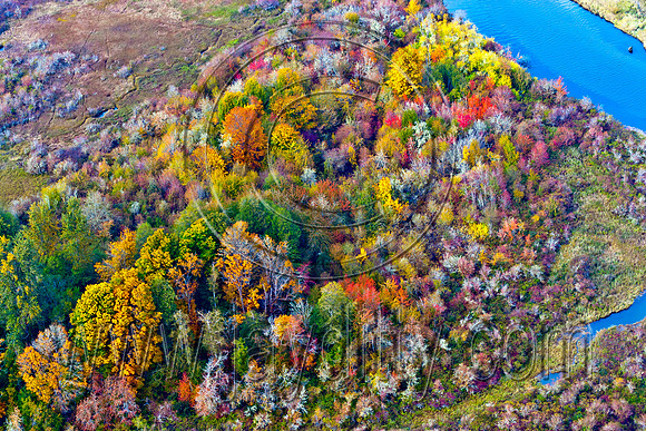 8367 Aerial Fall Color