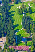 6358 Tapps Island 8th Hole