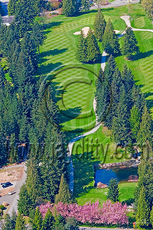 6358 Tapps Island 8th Hole