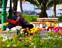 1190 Jardin Publico de Tavira