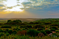 1279 Portugese Countryside