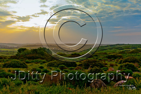 1279 Portugese Countryside