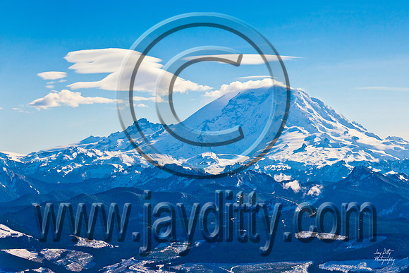 4214 Rainier Lenticulars