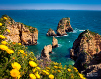 1040 Ponta de Piedade