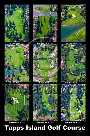 Tapps Island Golf Collage